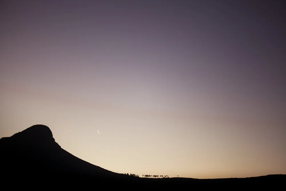 Lions Head - fotokunst von Thomas Neukum