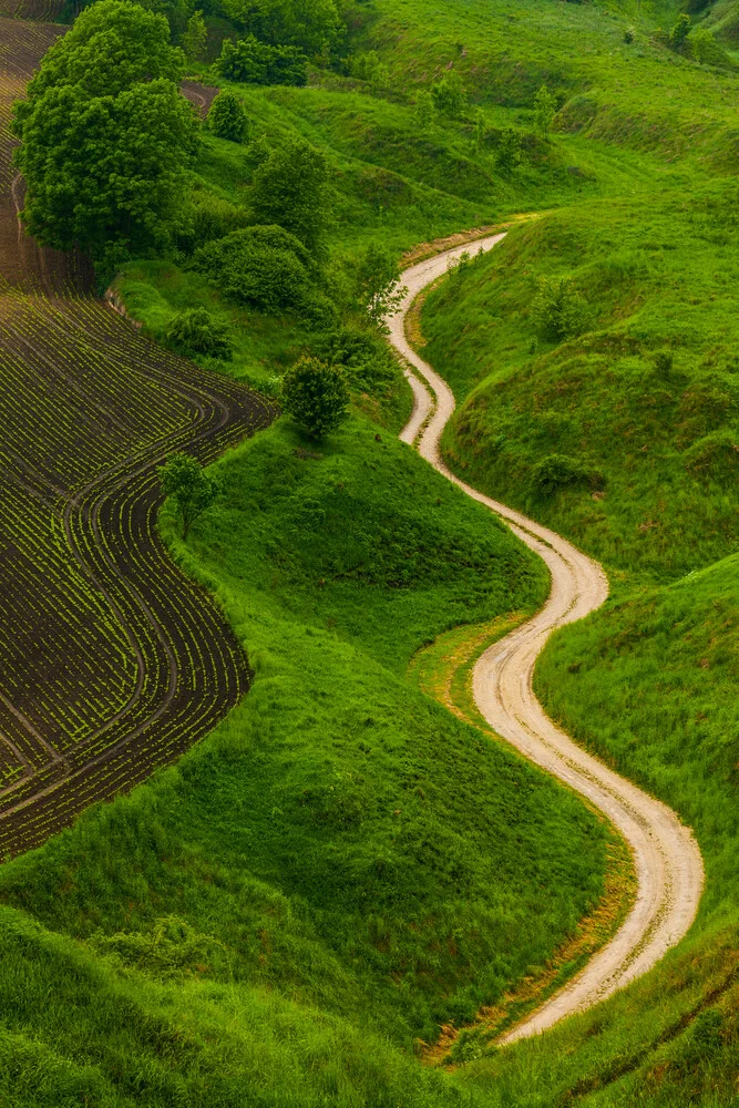 Der Weg - fotokunst von Mikolaj Gospodarek