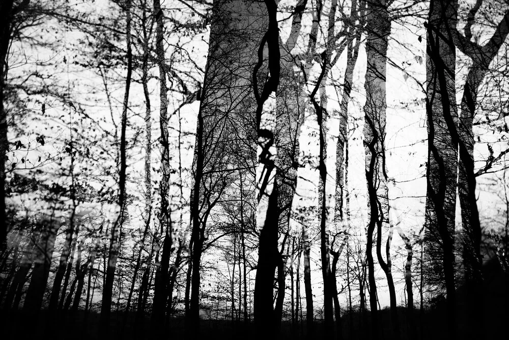 mystischer Wald - fotokunst von Rolf Bökemeier