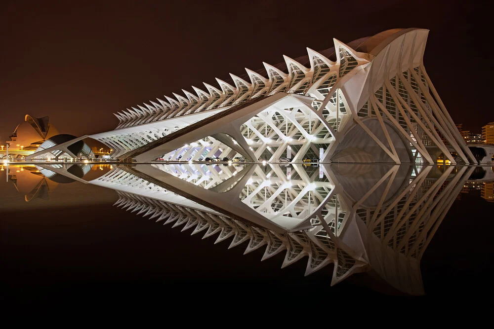 Ciudad de las Artes y de las Ciencias - fotokunst von Oliver Buchmann