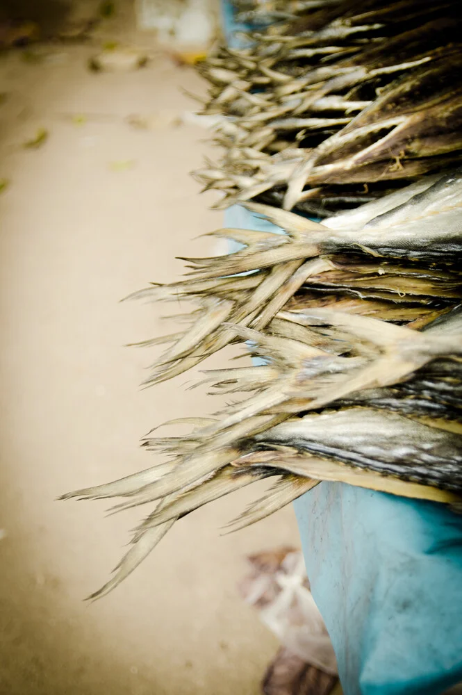 Fishmarket - Fineart photography by Gabriele Spörl