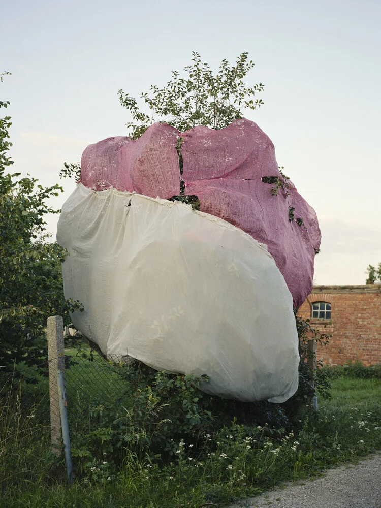 Obstbaum - fotokunst von Piero Chiussi