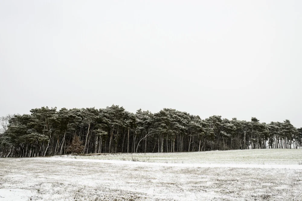 Schönefeld - Fineart photography by Piero Chiussi