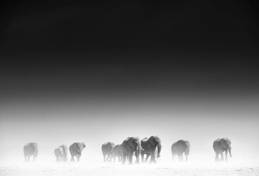 Raus aus dem Dunst - fotokunst von Tillmann Konrad