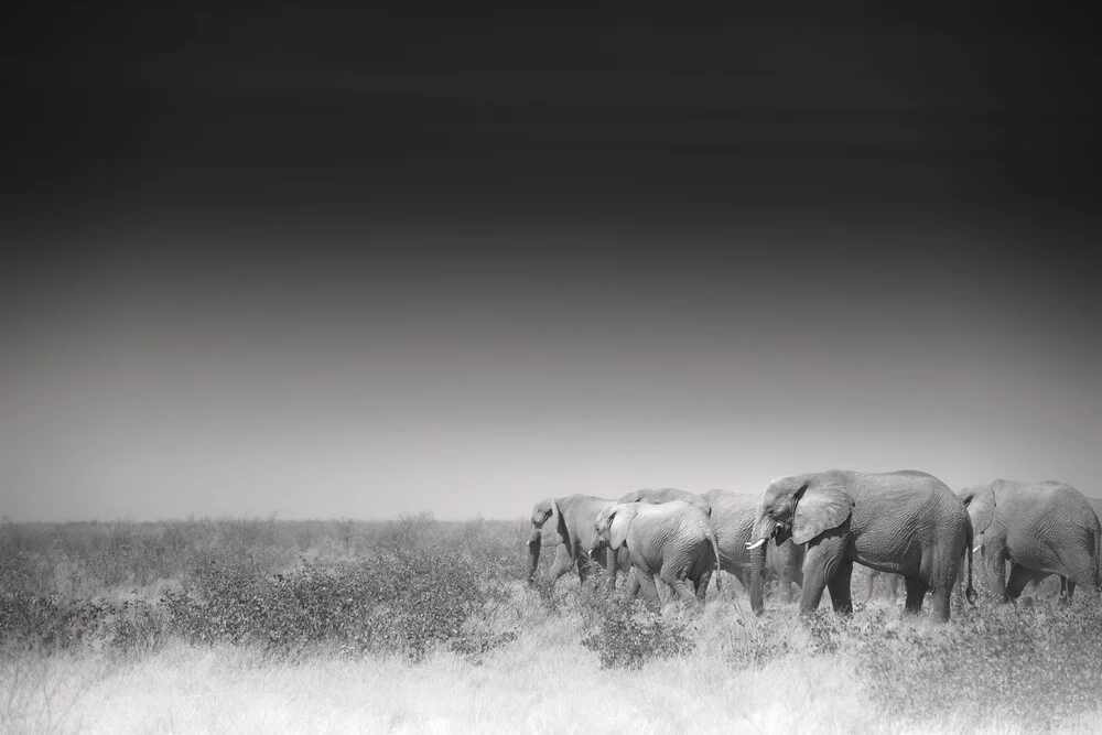 On their way - fotokunst von Tillmann Konrad