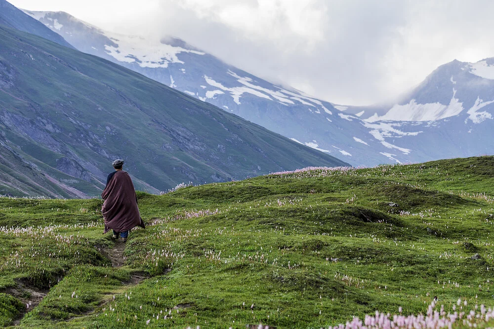 The Travelore - Fineart photography by Sher Ali