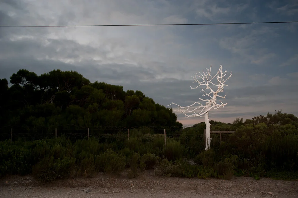 Roadside - fotokunst von Jac Kritzinger