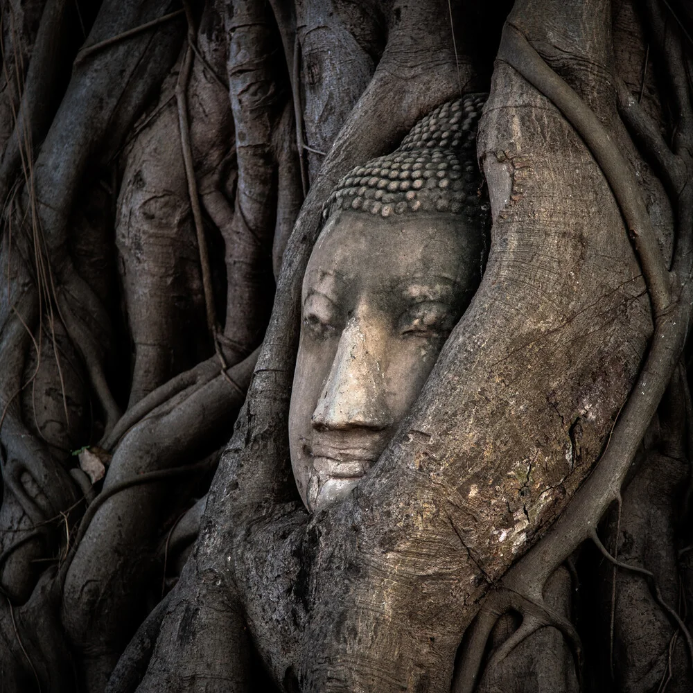 Buddha in Ayutthaya 1:1 - Fineart photography by Sebastian Rost