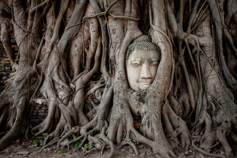 Buddha in Ayutthaya - fotokunst von Sebastian Rost