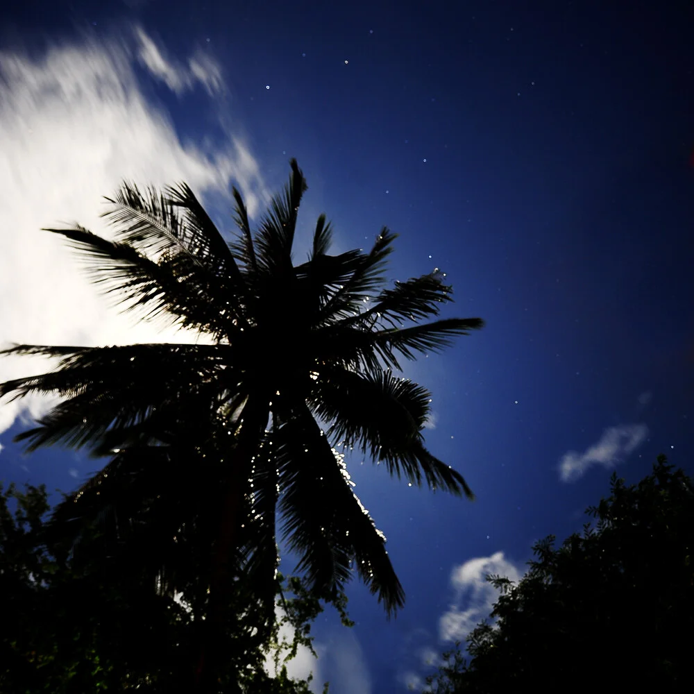 Night - fotokunst von Saskia Gaulke