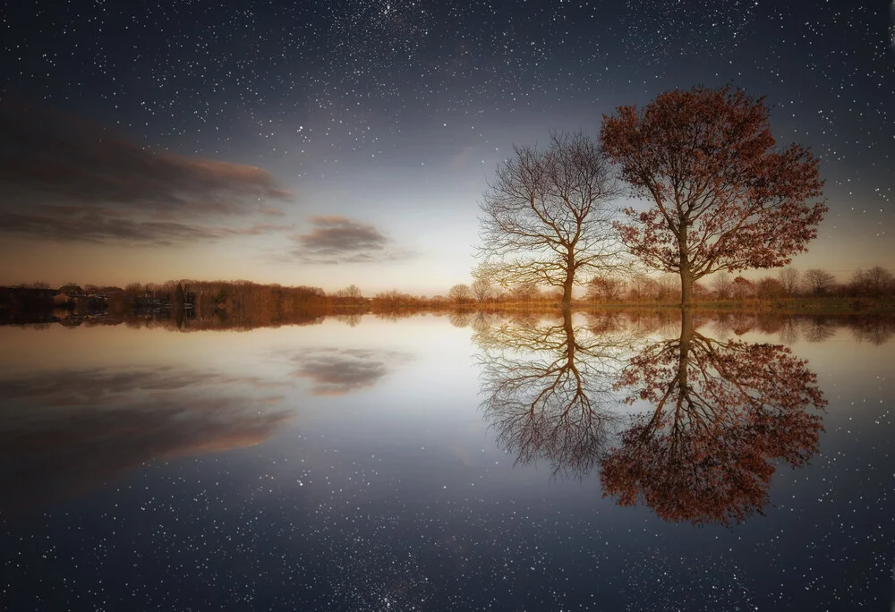 Two Trees - Fineart photography by Carsten Meyerdierks