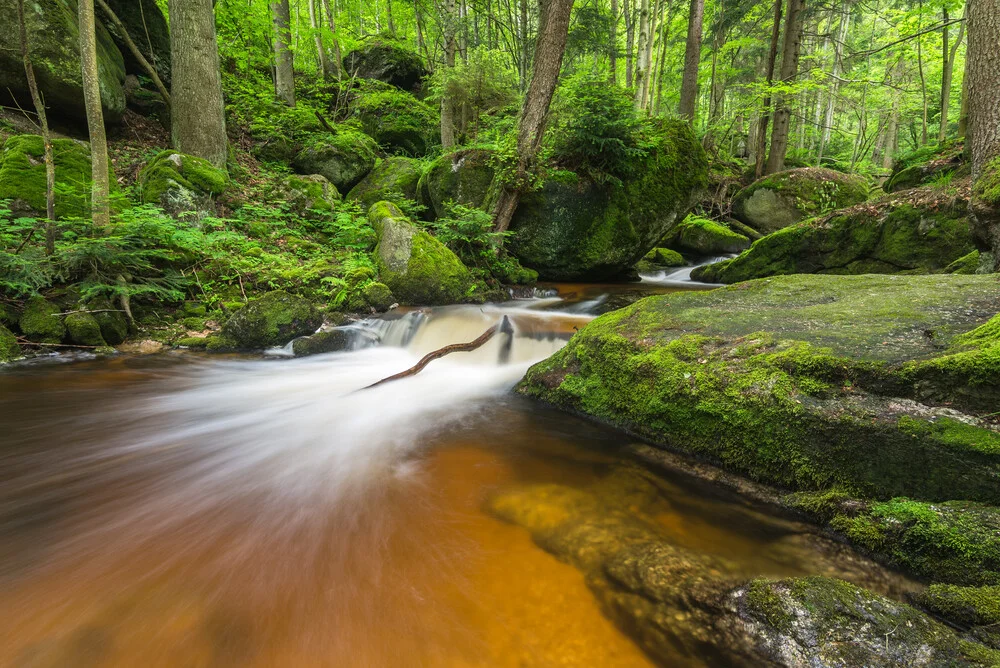 Ysperklamm - fotokunst von Günther Reissner