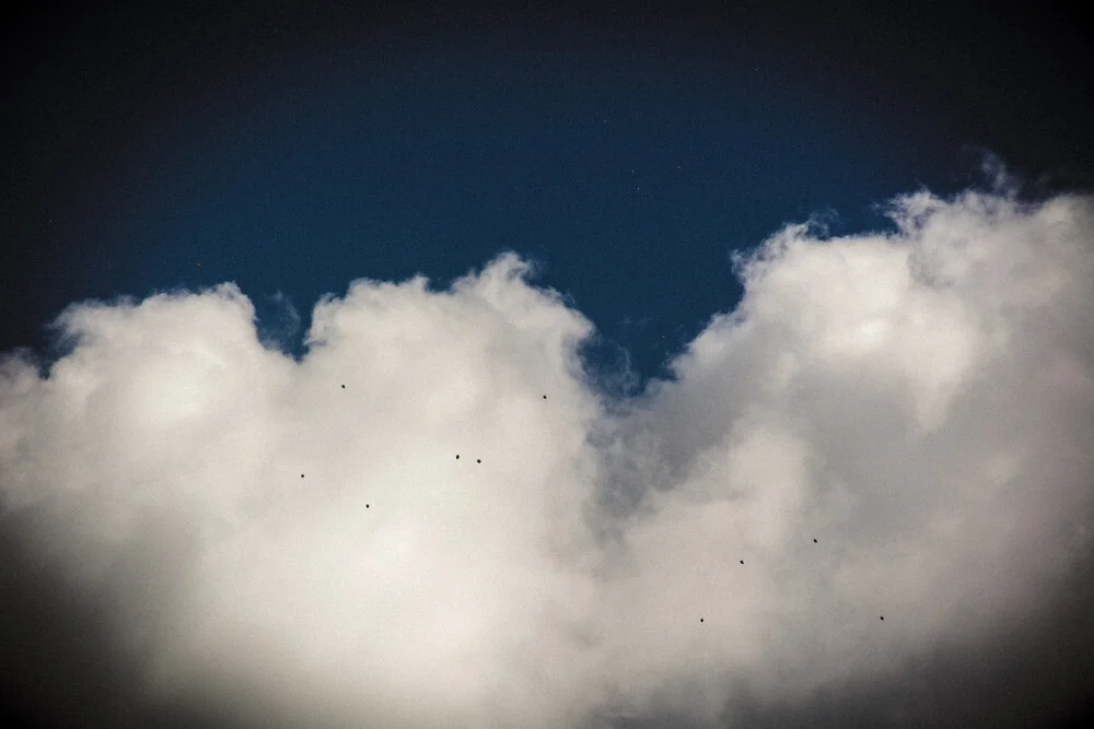 Balloons - fotokunst von Tal Paz-fridman