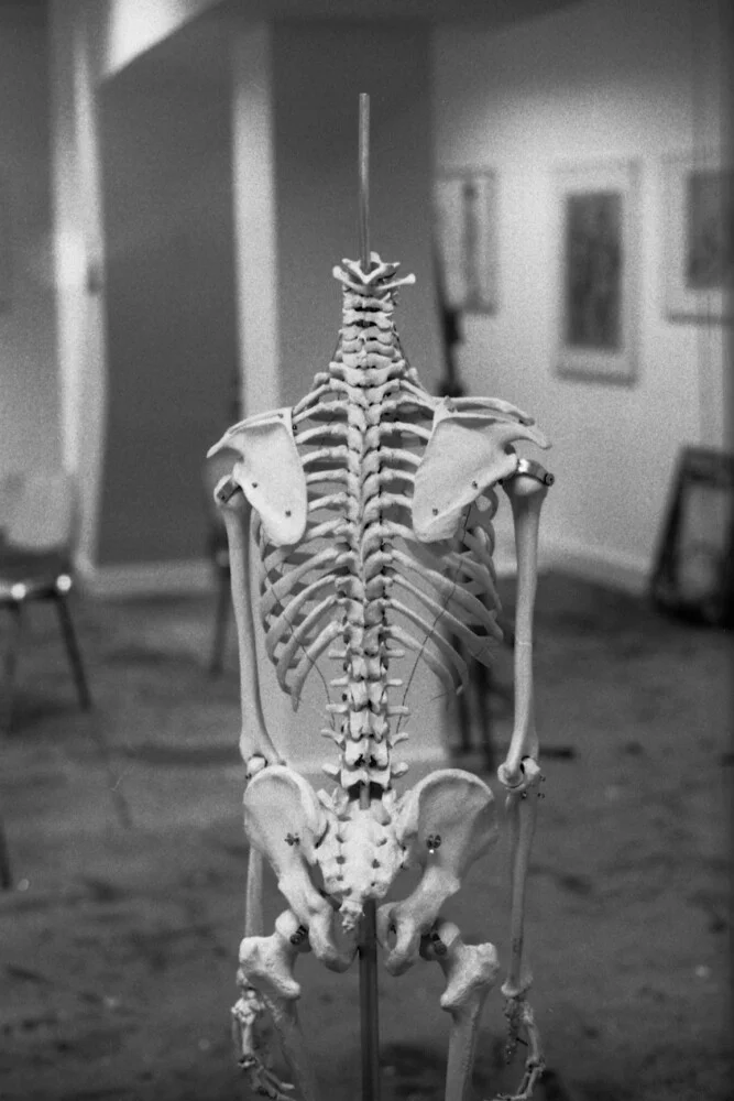 Skeleton - Fineart photography by Madelaine Grambow