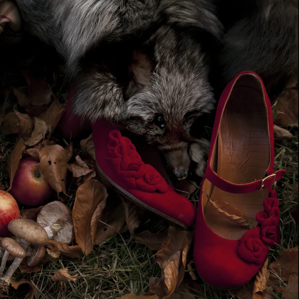 Hello Red Riding Hood - (6/6) - Fineart photography by Madelaine Grambow