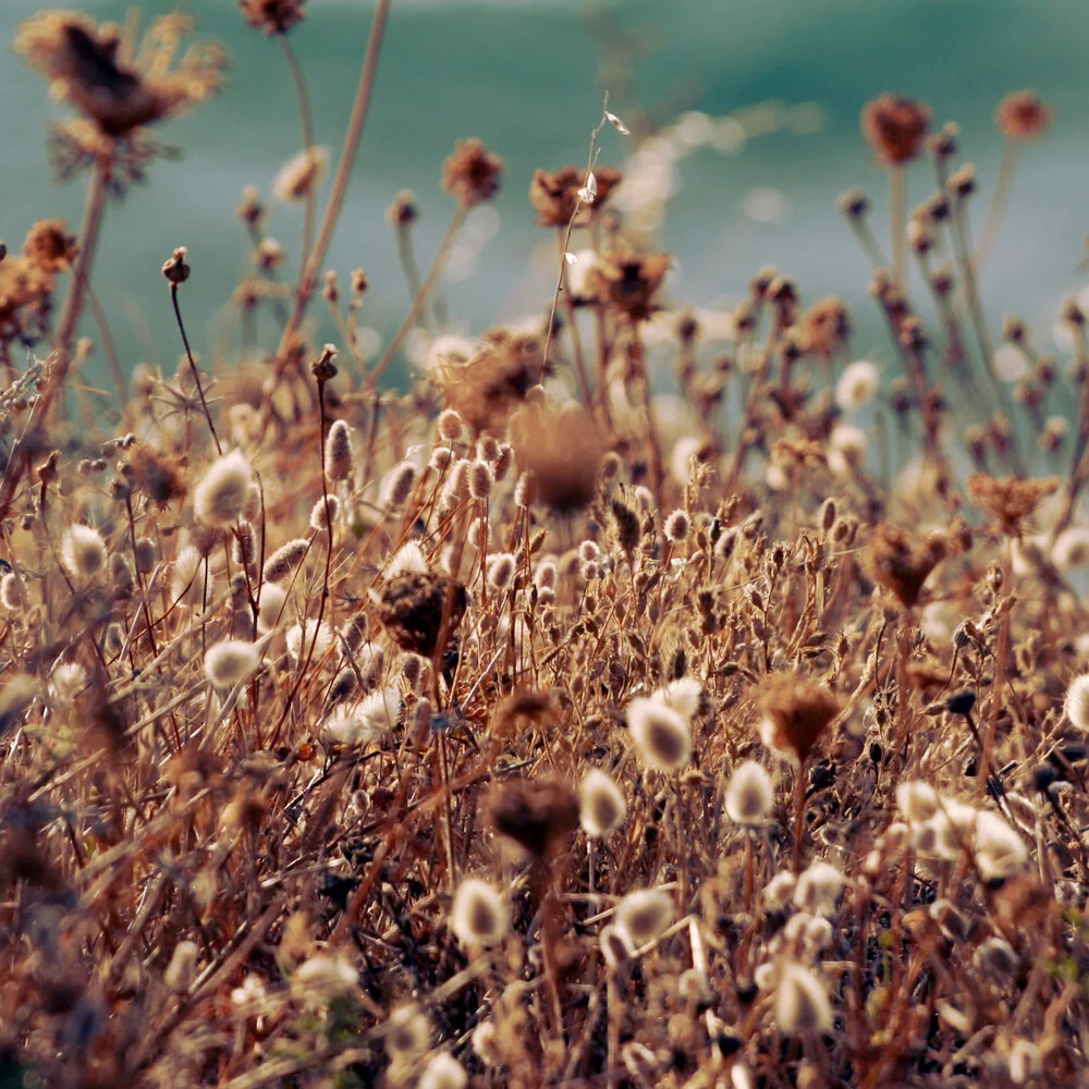 In un vortice - Fineart photography by Emmanuele Contini