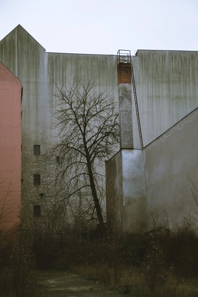 Winter beauty of a courtyard in Berlin Neukoelln - fotokunst von Emmanuele Contini