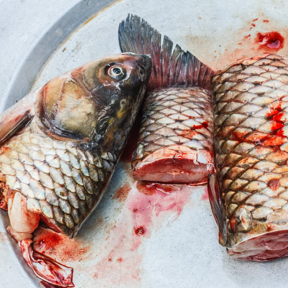 Fish On Plate - fotokunst von Marie Joelle Nimmesgern