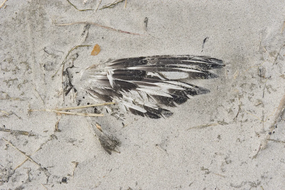 Nordsee - Impressionen - fotokunst von Petra Seiderer