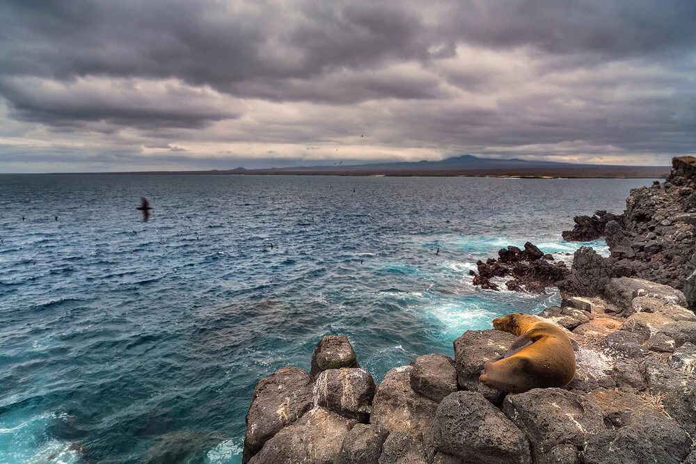 Isla Plaza Sur - fotokunst von Oliver Ostermeyer