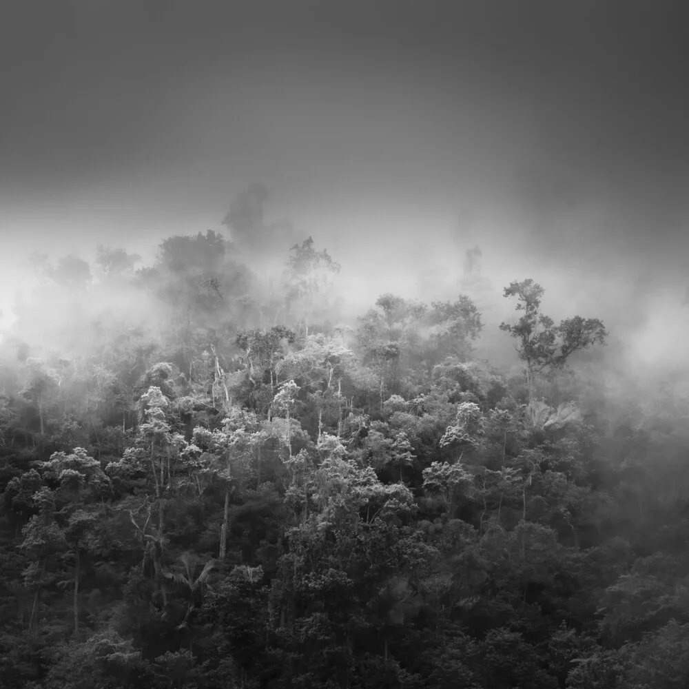 Untouched - fotokunst von Tillmann Konrad