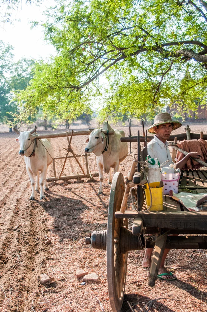 Farm Worker - Fineart photography by Juan Pablito Bassi