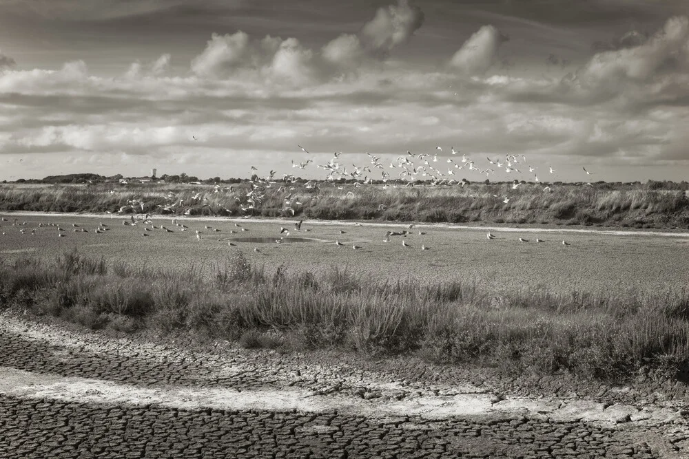 Isle de Ré, Ars-en-Ré #1 - Fineart photography by J. Daniel Hunger