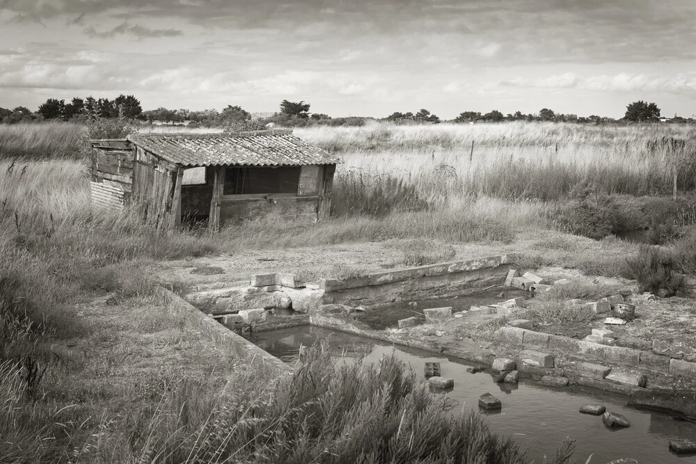 isle de Ré, Ars-en-Ré #5 - Fineart photography by J. Daniel Hunger