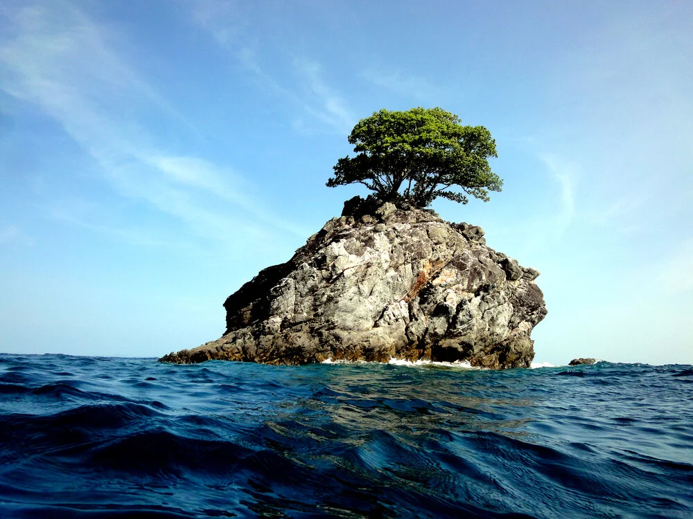 Lonely Tree  - fotokunst von Neeltje Obergfell