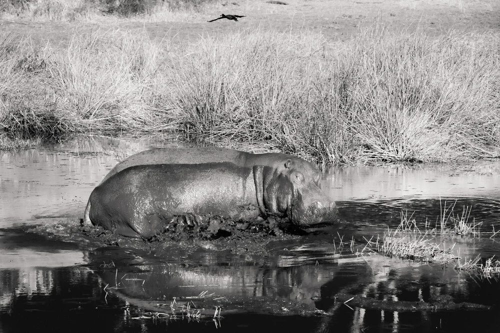 Out of my way - fotokunst von Tillmann Konrad