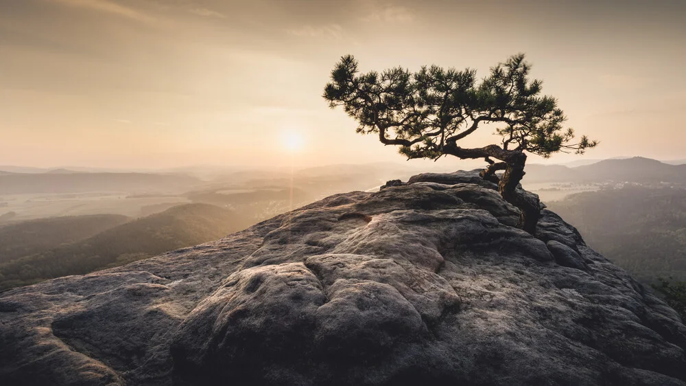 Heimat der Sonne Sächsische Schweiz Lilienstein - fotokunst von Ronny Behnert