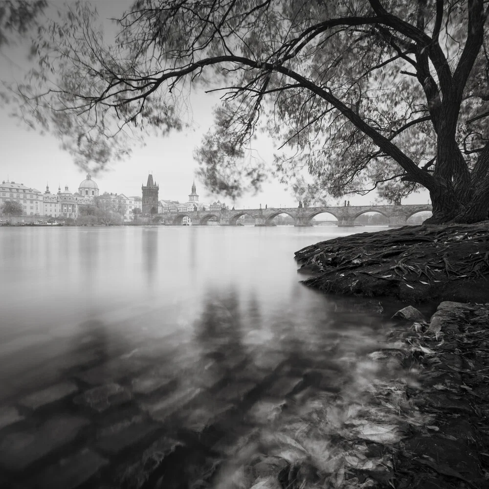 Vltava River Charles bridge Prague - Fineart photography by Ronny Behnert