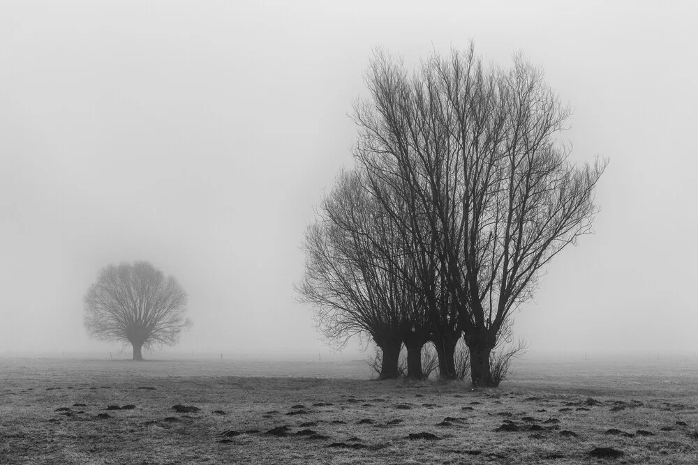 Die Ruhe - fotokunst von Mikolaj Gospodarek