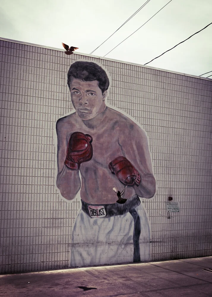 Ali vs pigeon - Fineart photography by Florian Büttner