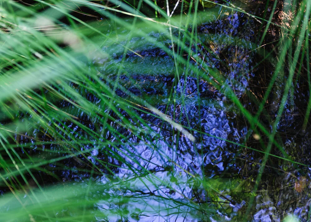 Etang Noir - fotokunst von Friedemann Baader