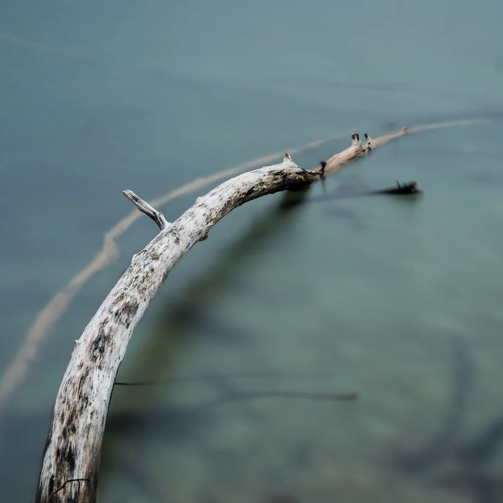 fearless - fotokunst von Hannes Ka