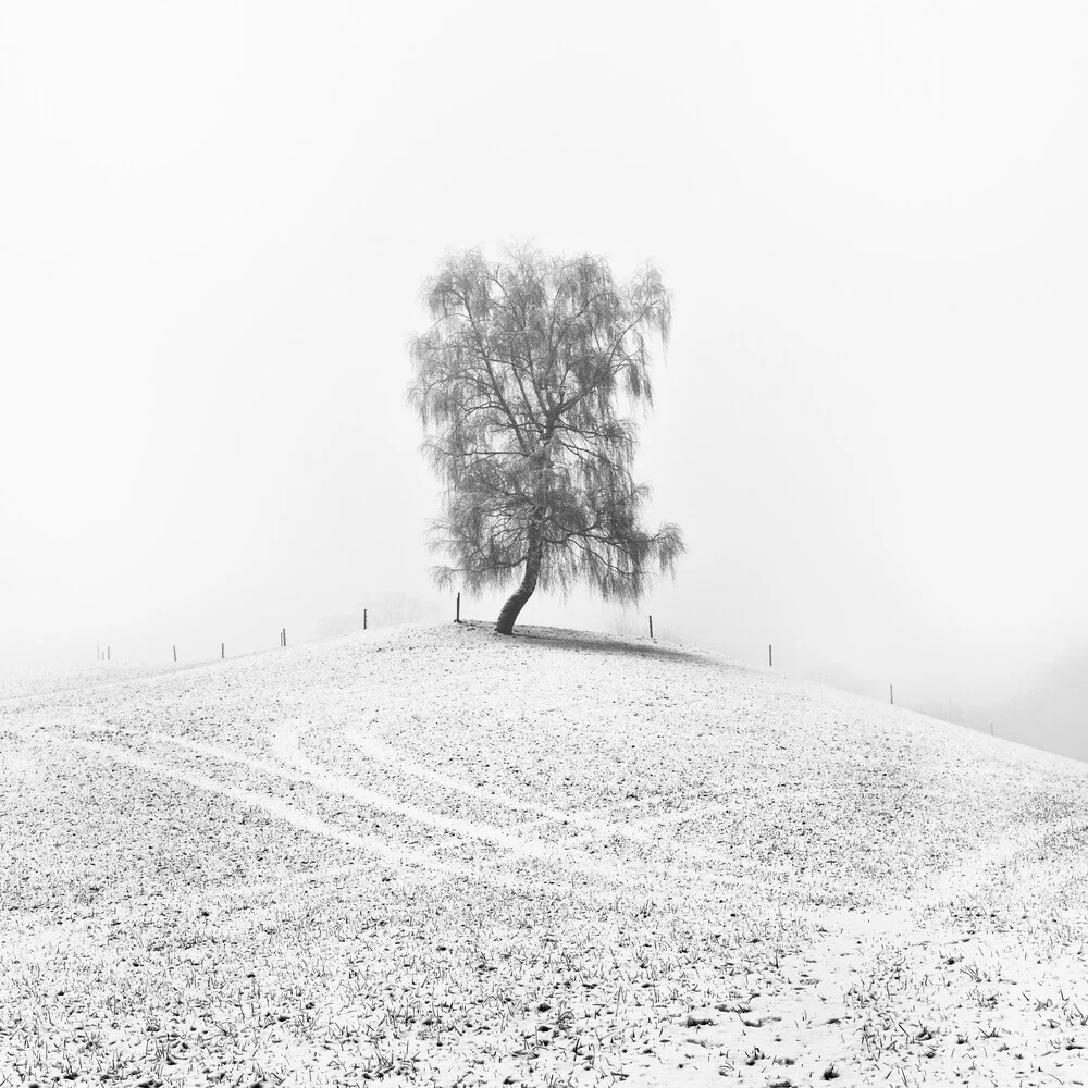 lover - fotokunst von Hannes Ka