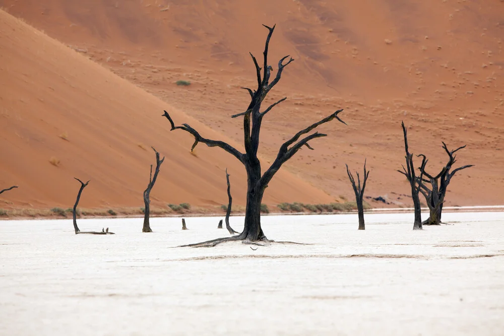 Dead Vlei, Namibia - fotokunst von Angelika Stern