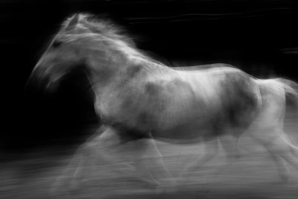 horse impression - Fineart photography by Raffaella Castagnoli
