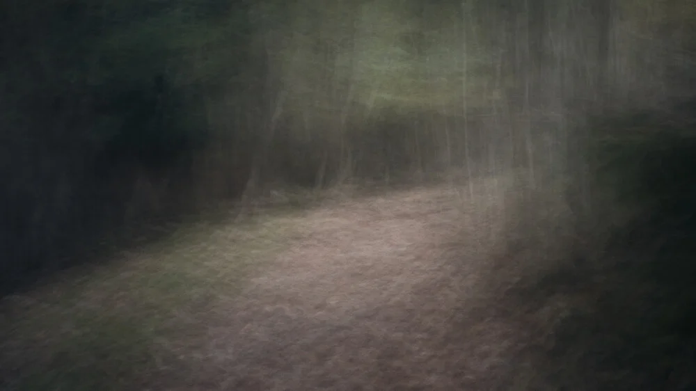 lost in the wood - fotokunst von Raffaella Castagnoli