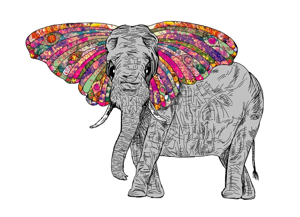 Bella The Happy Butterphant - fotokunst von Bianca Green