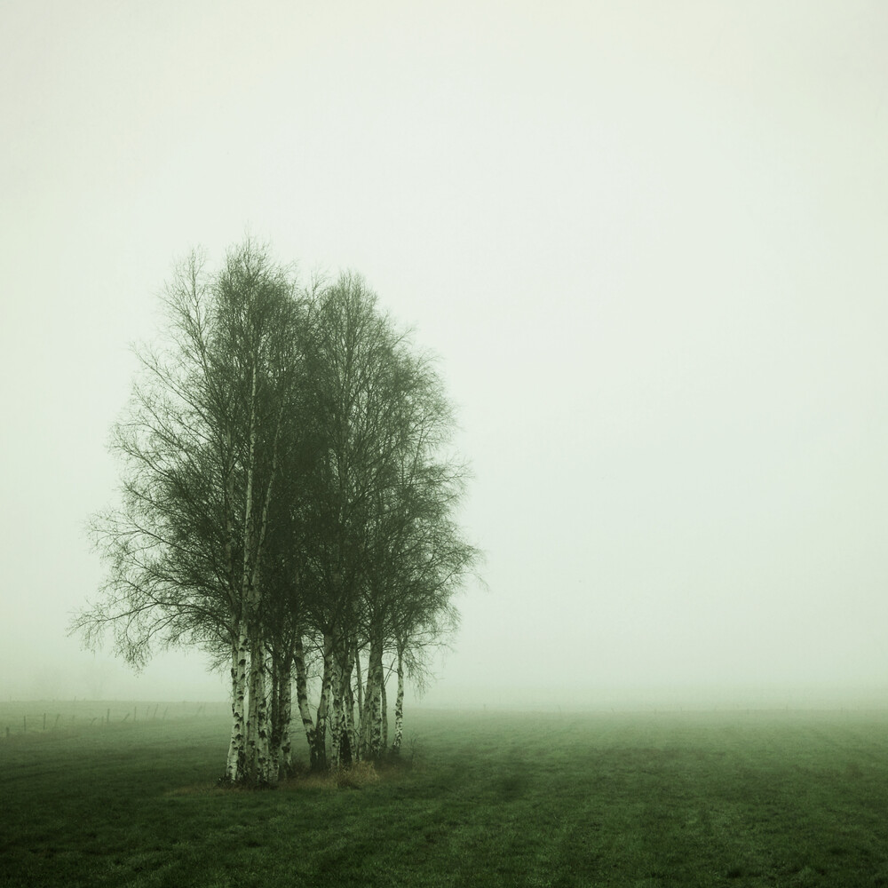 early foggy morning - fotokunst von Manuela Deigert