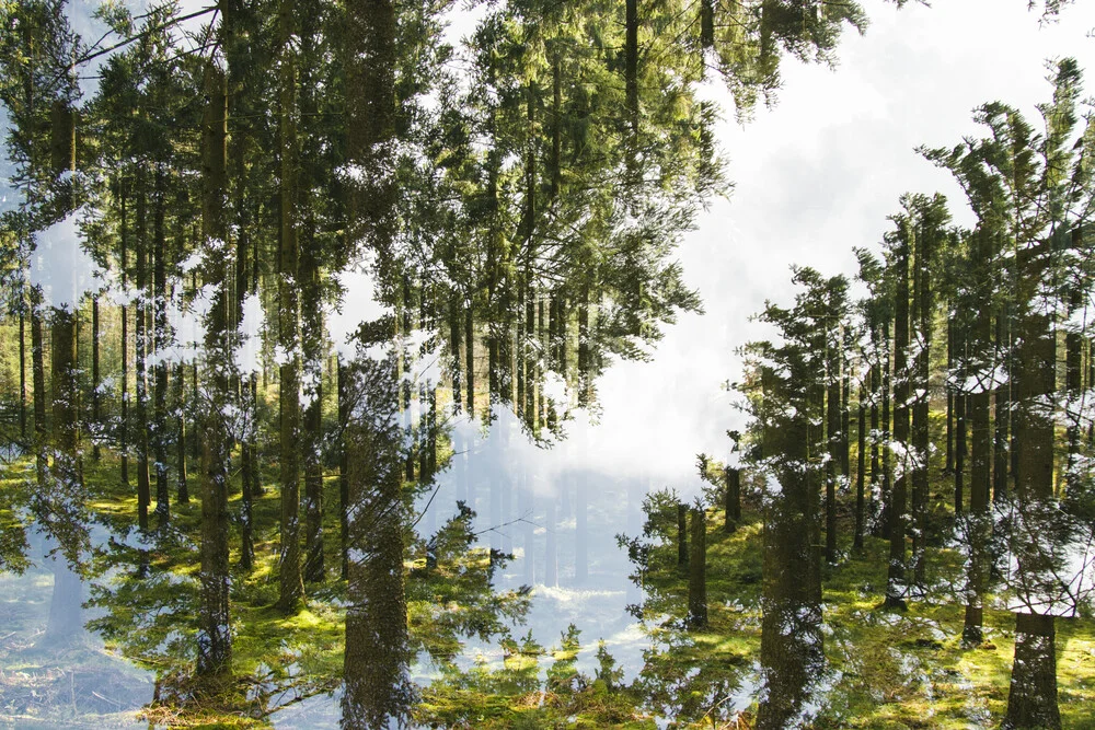 Himmel im Teutoburger Wald - fotokunst von Nadja Jacke