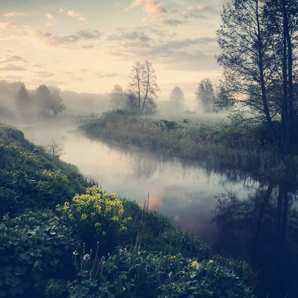 [:] MORNING AT NAREW II [:] - fotokunst von Franz Sussbauer