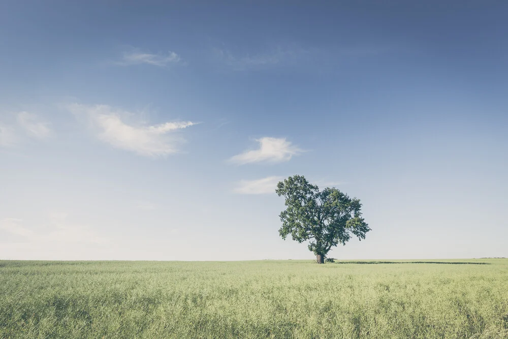 ländliche Stille - fotokunst von Holger Nimtz