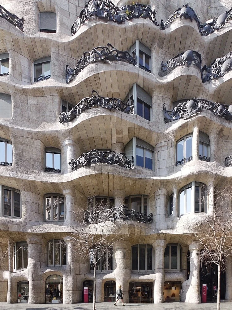 Organic forms of Gaudí - fotokunst von Roc Isern