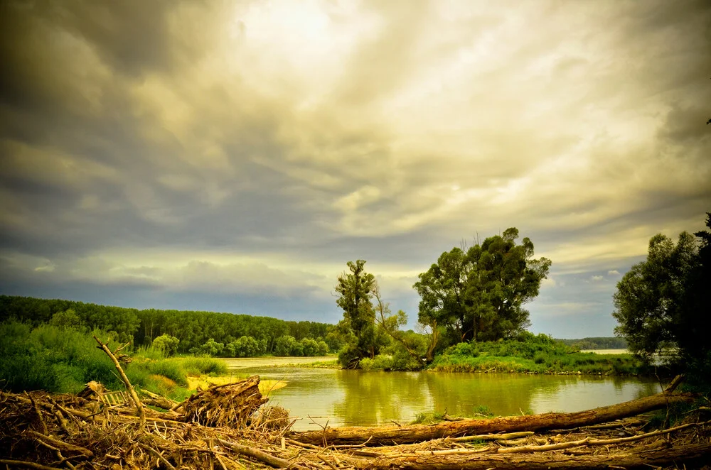 We need nature. It's not the other way round.  - fotokunst von Markus Enenkel