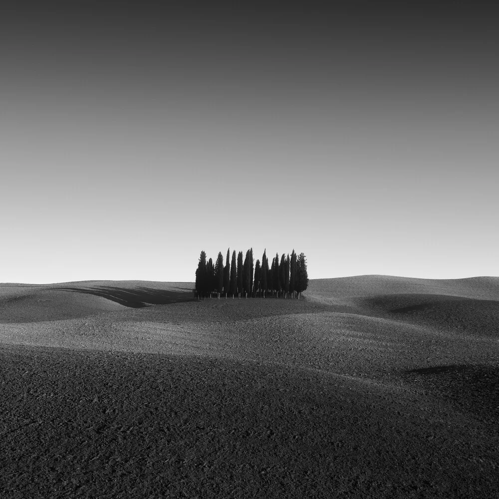 CYPRESS GROVE – TUSCANY - fotokunst von Christian Janik