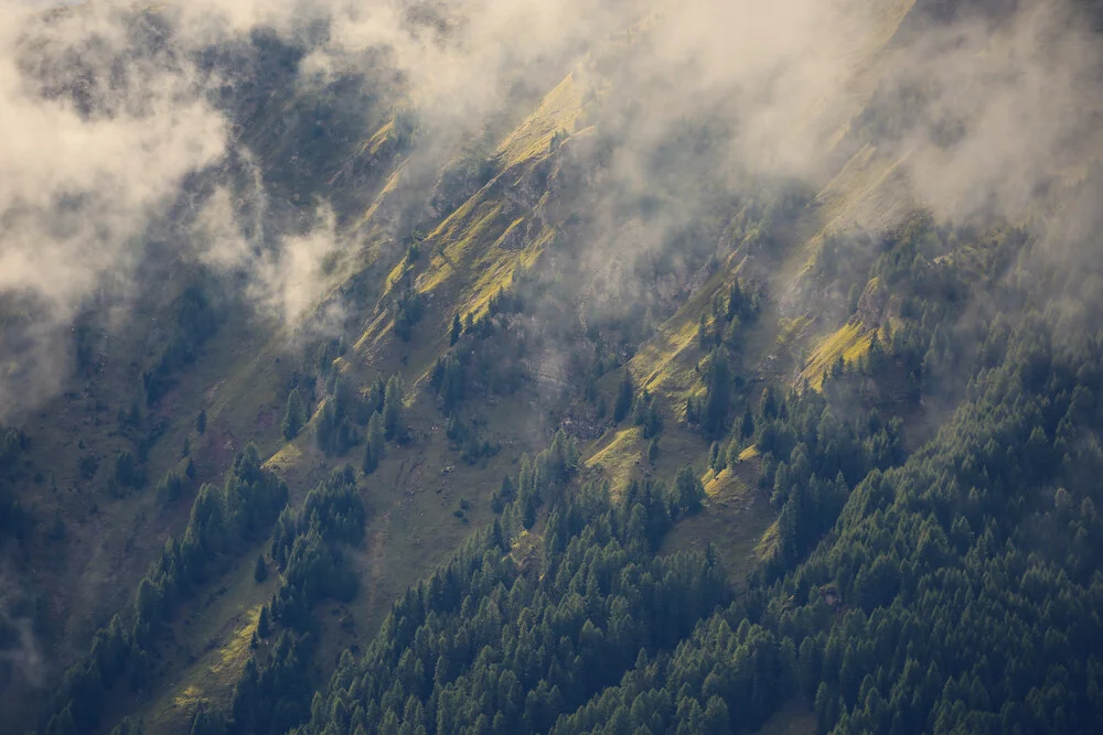 [:] SHADES OF GREEN [:] - fotokunst von Franz Sussbauer