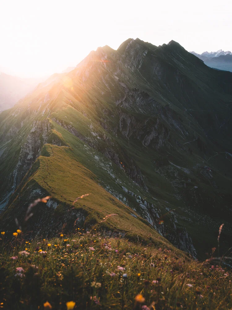 SUNNY MORNING. - fotokunst von Philipp Heigel